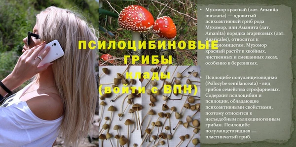 эйфоретик Володарск