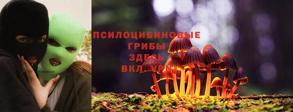 spice Вязники