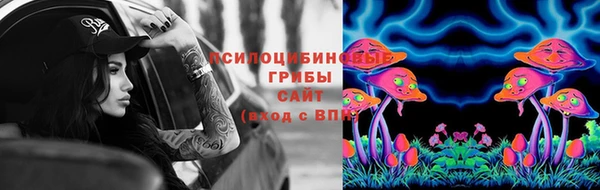 ПСИЛОЦИБИНОВЫЕ ГРИБЫ Вяземский