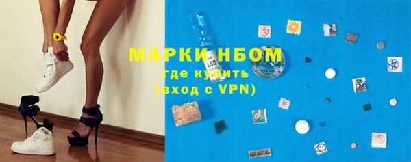 ПСИЛОЦИБИНОВЫЕ ГРИБЫ Вяземский