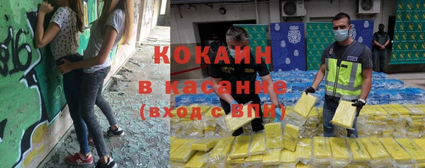 ПСИЛОЦИБИНОВЫЕ ГРИБЫ Вяземский