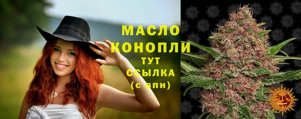 ПСИЛОЦИБИНОВЫЕ ГРИБЫ Вяземский