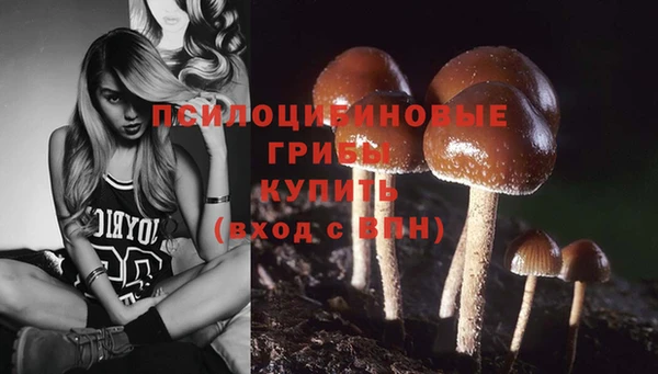 MDMA Premium VHQ Волосово