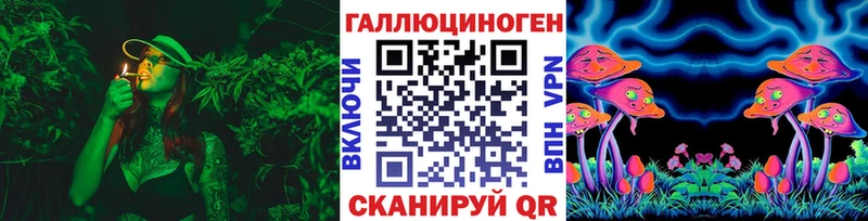 Псилоцибиновые грибы Psilocybine cubensis  Люберцы 